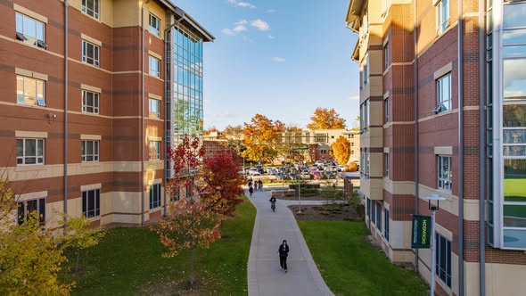 Workforce and job preparation